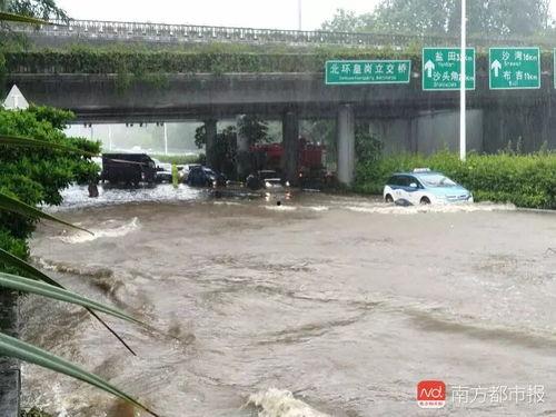 山竹爆料深圳视频最新版,深圳视频版揭秘惊人内幕  第3张