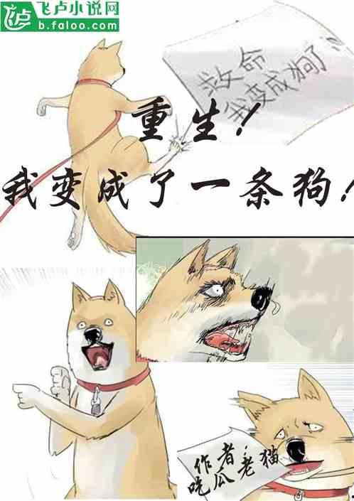 小熊吃瓜小说免费阅读,一场奇幻瓜果盛宴的冒险之旅  第2张